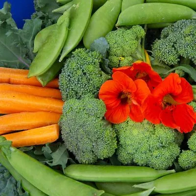 thumbnail for publication: A Farm to School Procurement Calculator for Specialty Crop Producers and School Food Service Staff